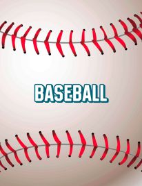 Baseball Team Banners